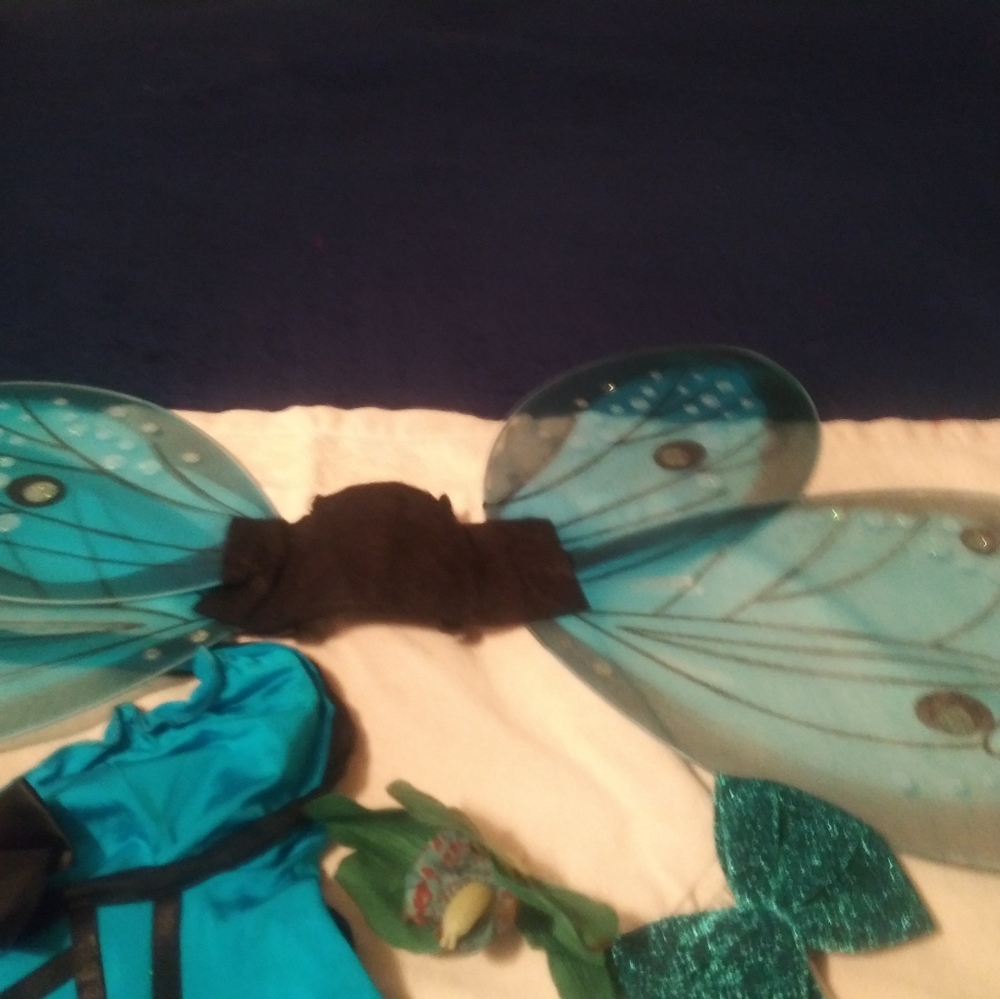 Costumes FANTASY FAIRY